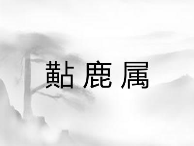 黇鹿属