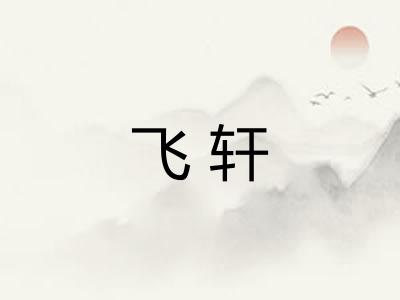 飞轩