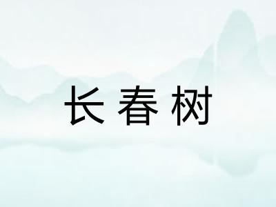 长春树