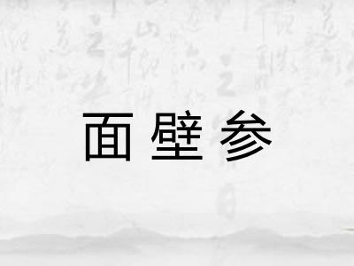 面壁参