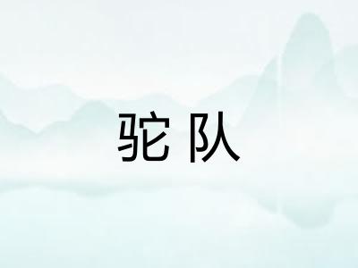 驼队