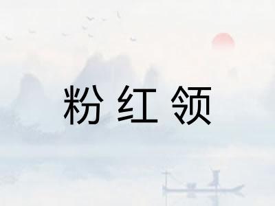 粉红领