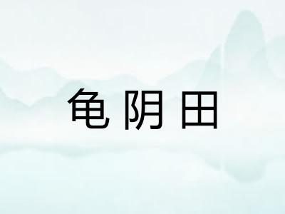 龟阴田