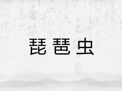琵琶虫