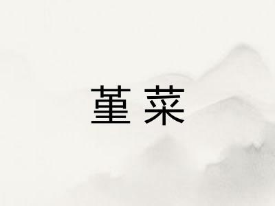 堇菜