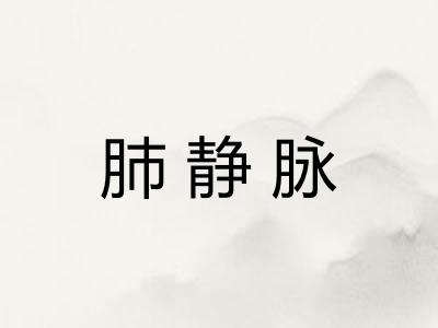 肺静脉