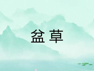 盆草