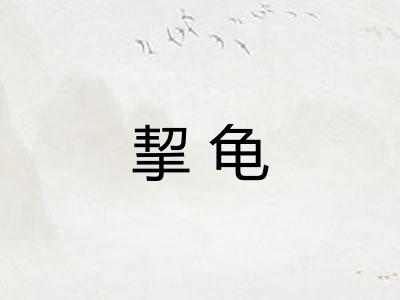 挈龟