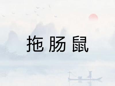 拖肠鼠