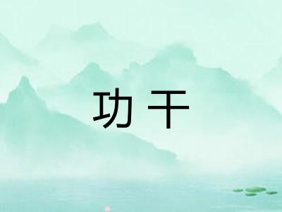 功干