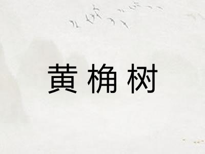 黄桷树
