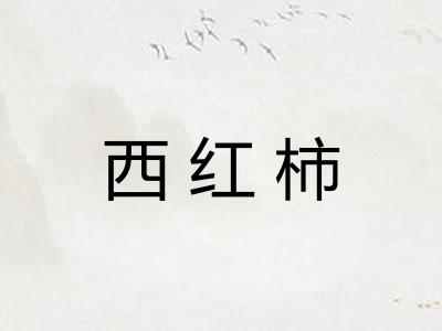 西红柿