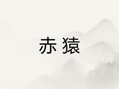 赤猿