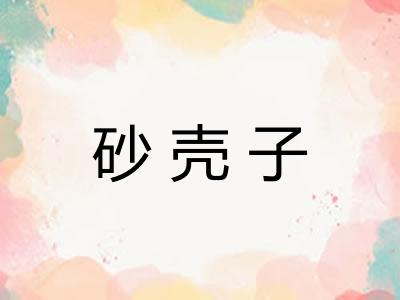 砂壳子