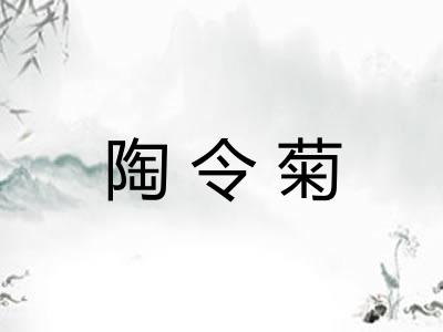 陶令菊