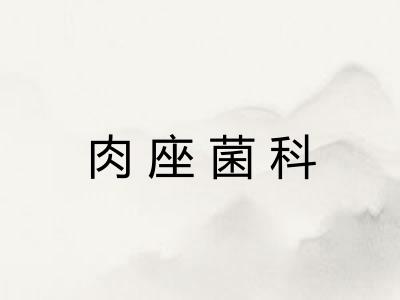 肉座菌科