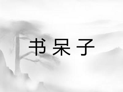 书呆子