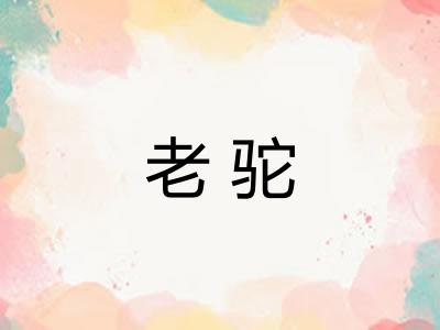 老驼