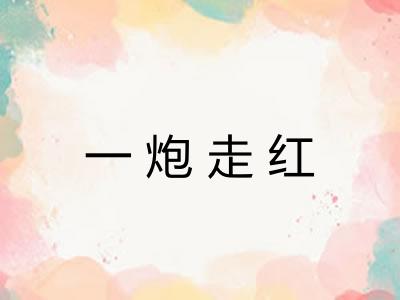 一炮走红