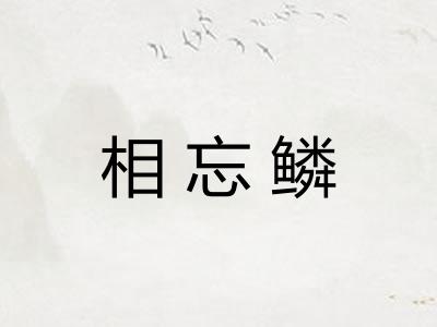 相忘鳞