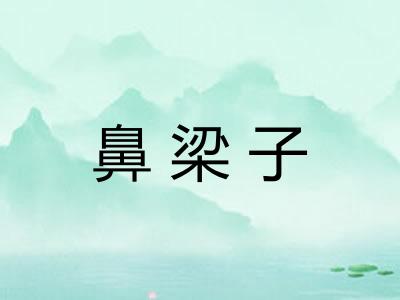 鼻梁子