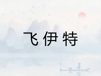 飞伊特