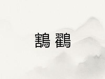 鶷鸐