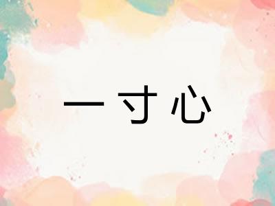 一寸心
