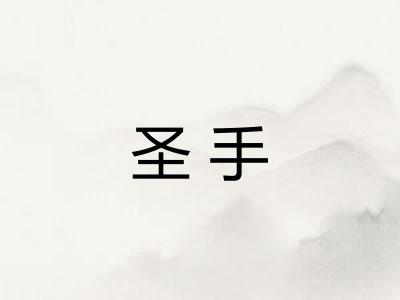圣手