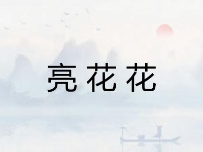 亮花花