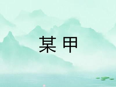 某甲