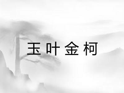 玉叶金柯