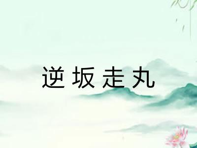逆坂走丸