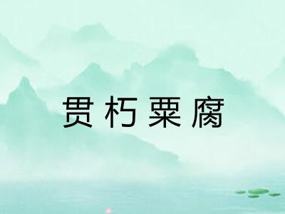 贯朽粟腐