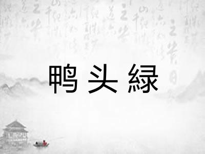 鸭头緑