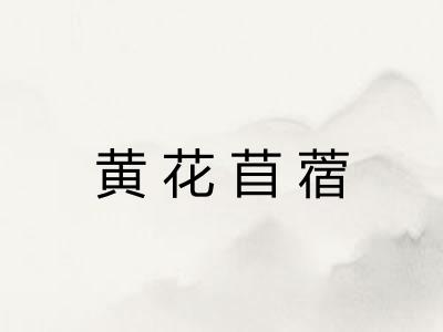 黄花苜蓿