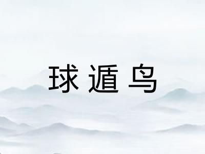 球遁鸟