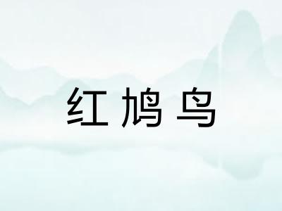 红鸠鸟
