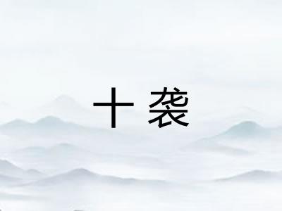 十袭