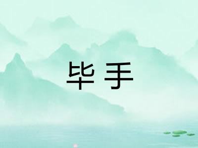 毕手