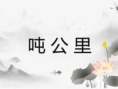 吨公里