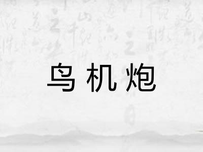 鸟机炮