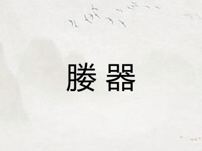 媵器