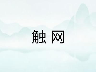 触网