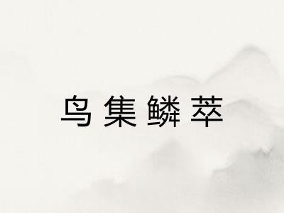 鸟集鳞萃