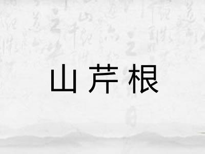 山芹根