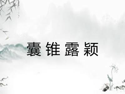 囊锥露颖