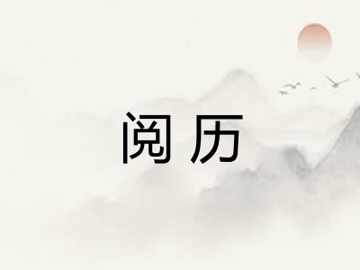 阅历