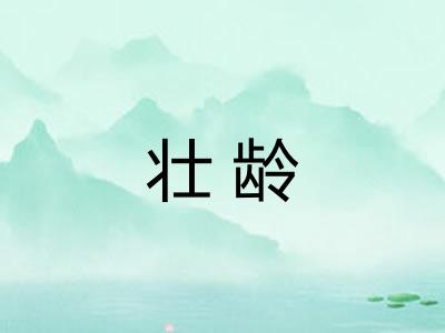 壮龄