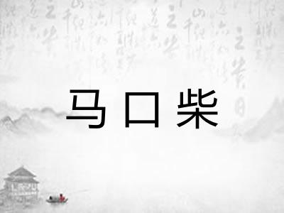 马口柴